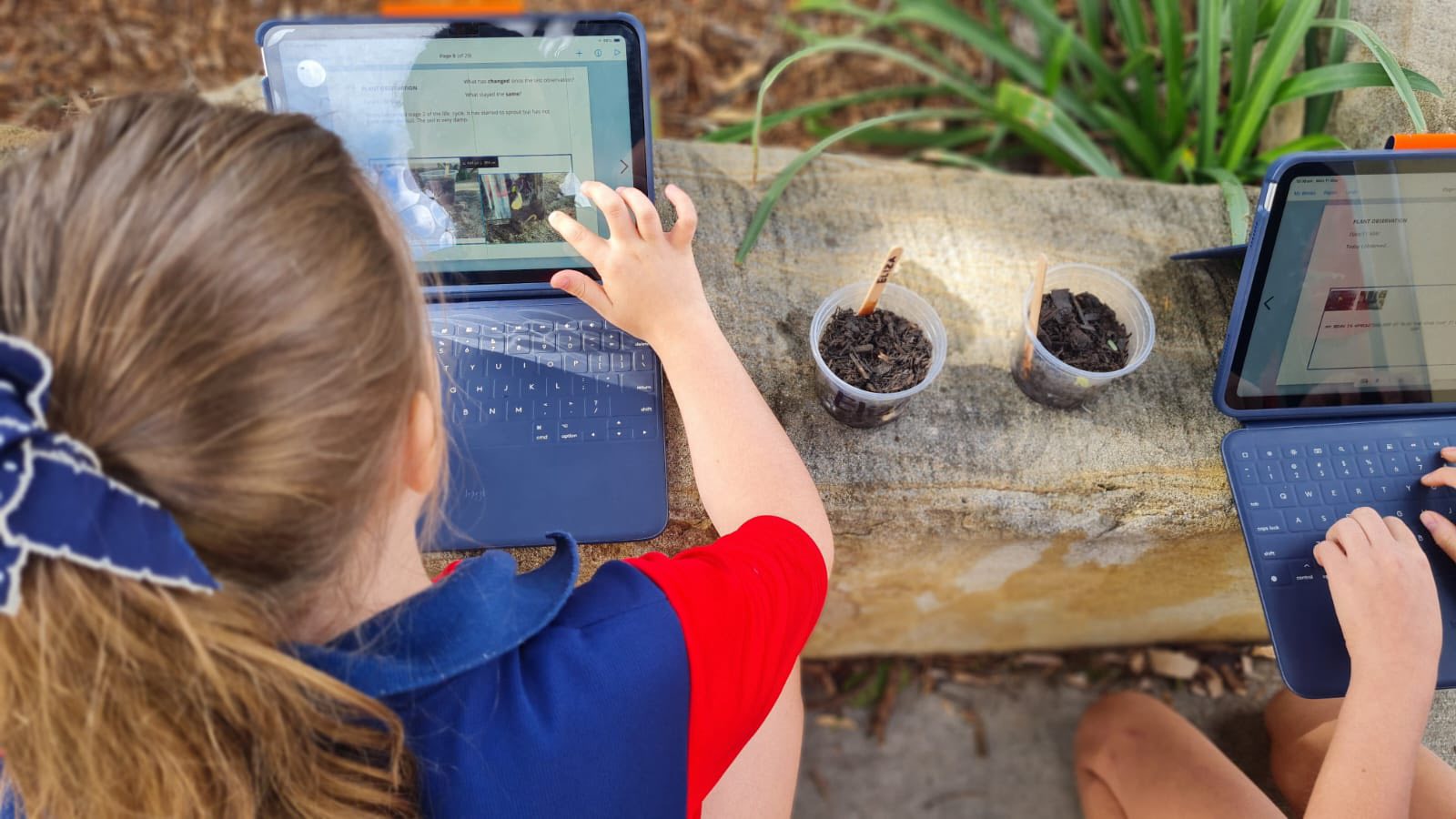&copy; Brisbane Catholic Education, Our Lady of the Angels' School 2026